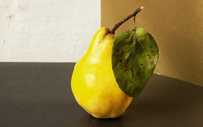 Magical sin fruit