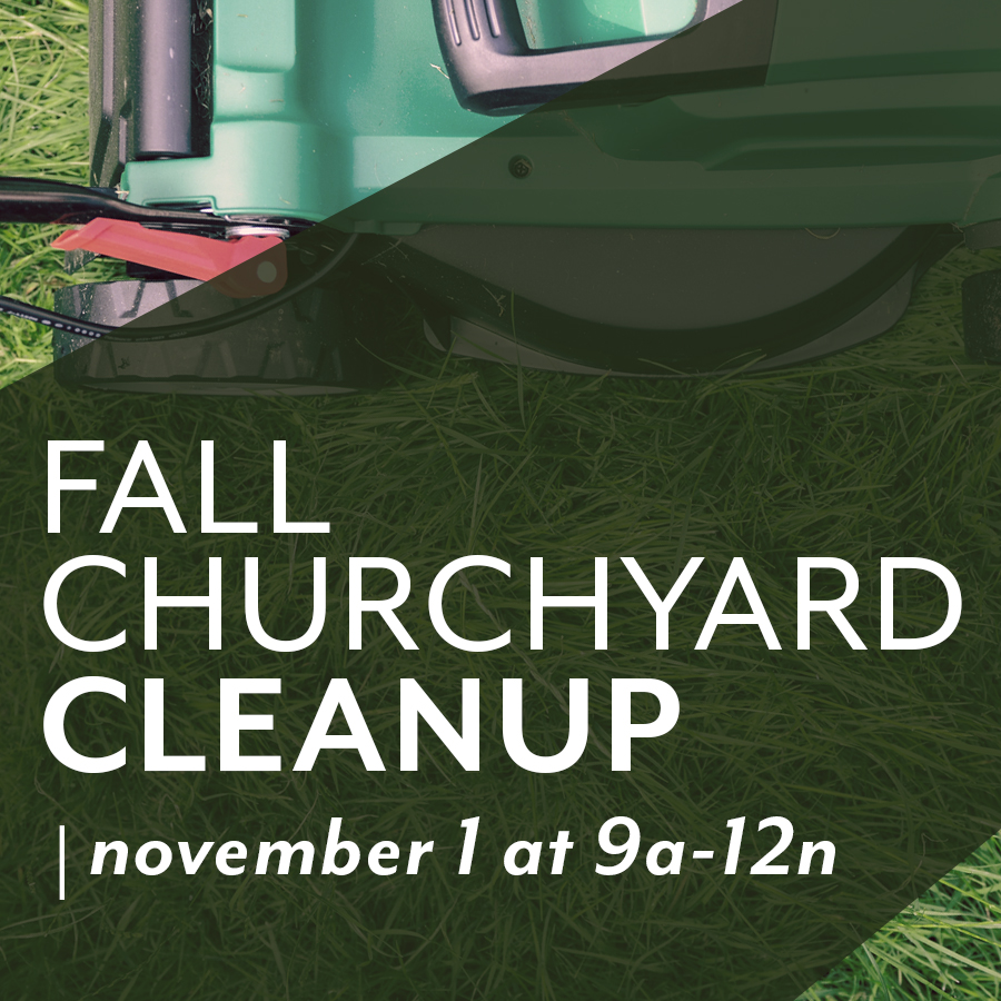 Fall Cleanup
