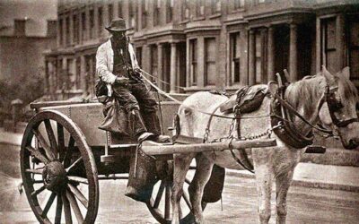 The cart and the horse