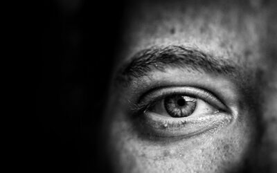 The log in your eye